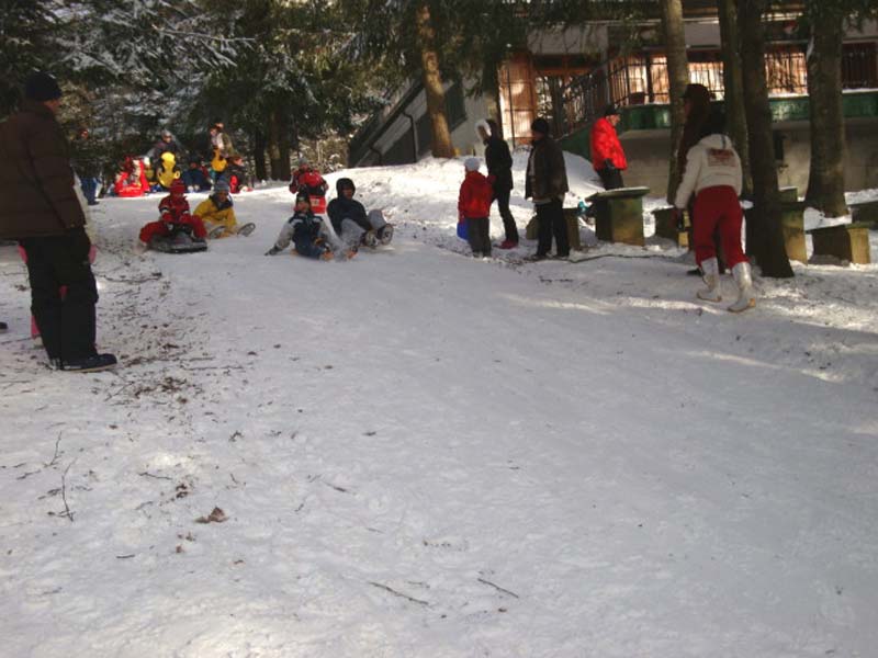 DSC03067