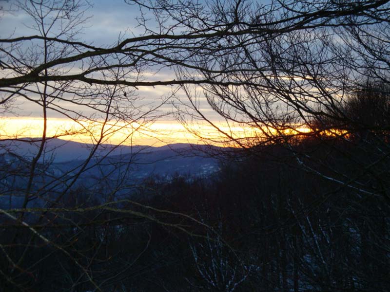 DSC03089