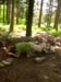 PIC00945