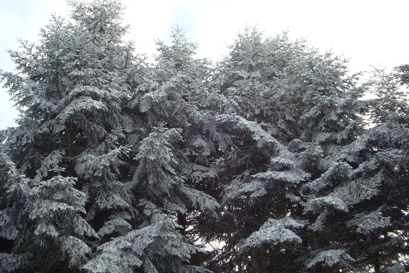 DSC02867