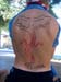 PIC00724